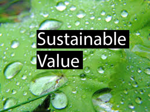 如何衡量可持续发展的商业价值