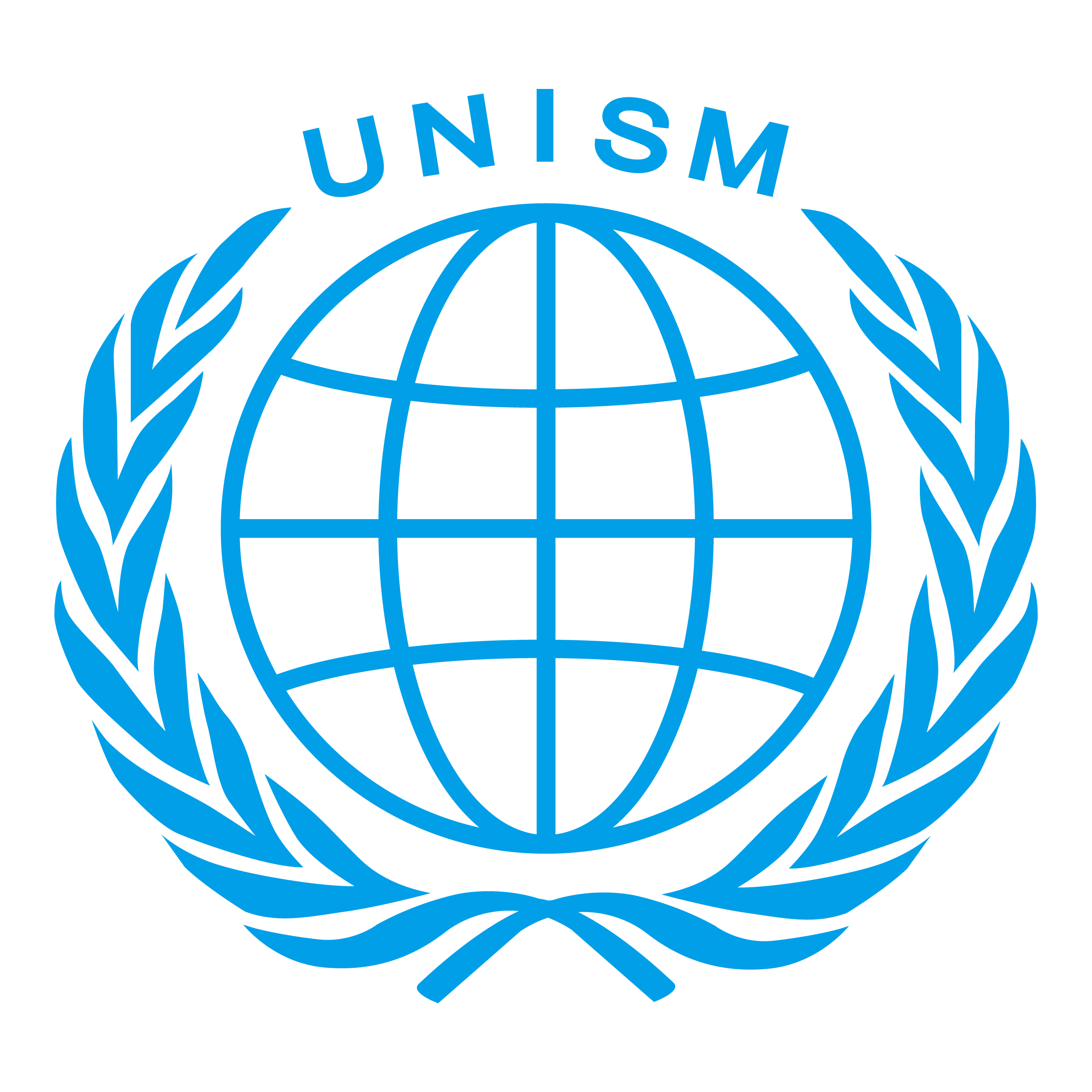 联合国可持续发展管理学院LOGO.jpg